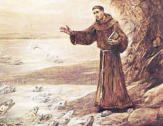 Santo Antonio_Peixes_2